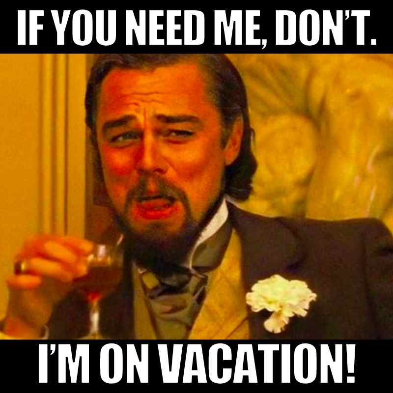 VACATION!!! Shipping delayed till 8/1/2025